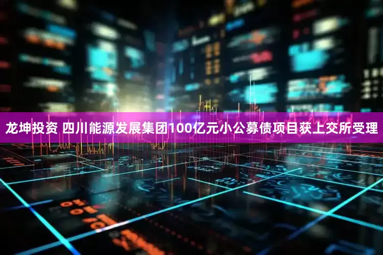 龙坤投资 四川能源发展集团100亿元小公募债项目获上交所受理