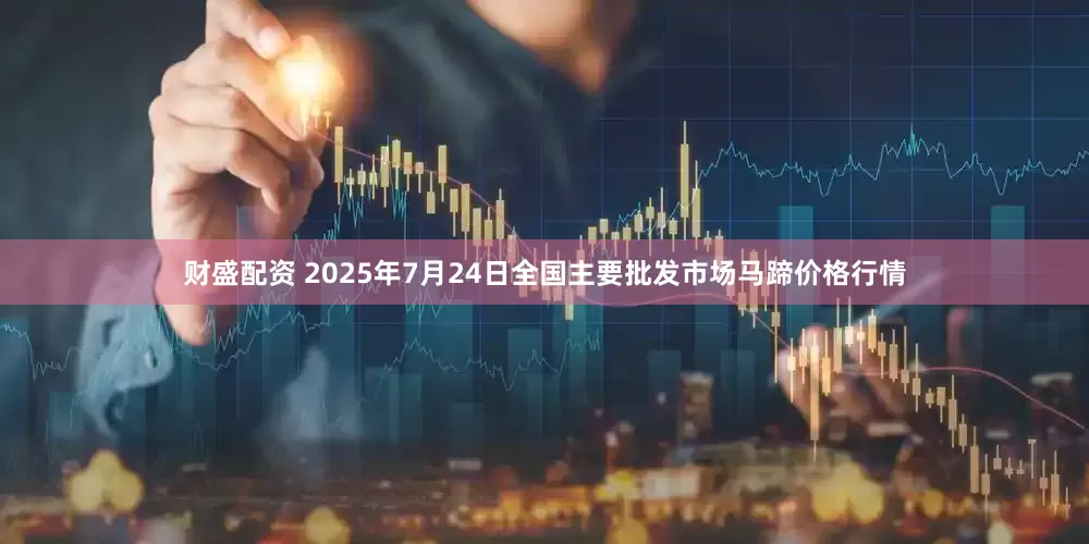 财盛配资 2025年7月24日全国主要批发市场马蹄价格行情