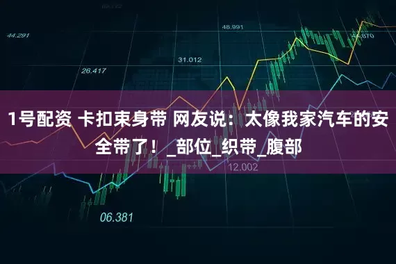 1号配资 卡扣束身带 网友说：太像我家汽车的安全带了！_部位_织带_腹部