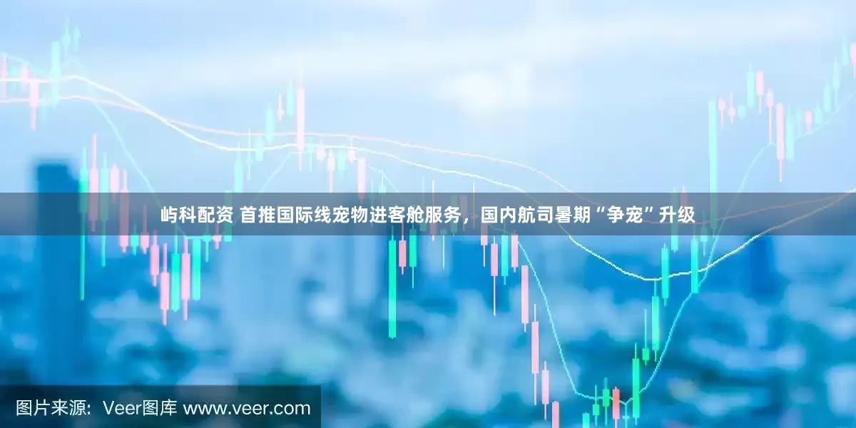 屿科配资 首推国际线宠物进客舱服务，国内航司暑期“争宠”升级